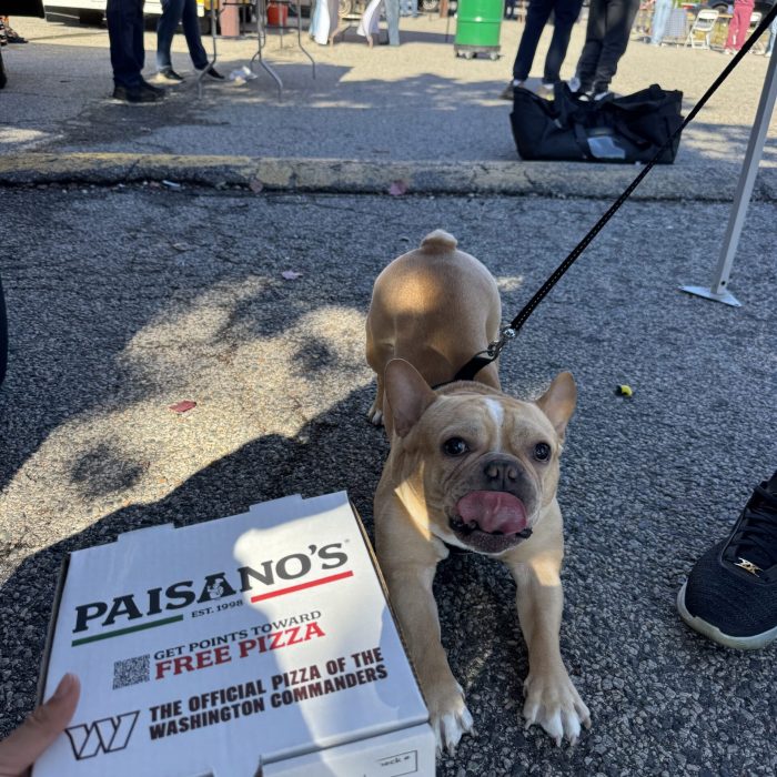 Paisano's With a Purpose in action — photo 4